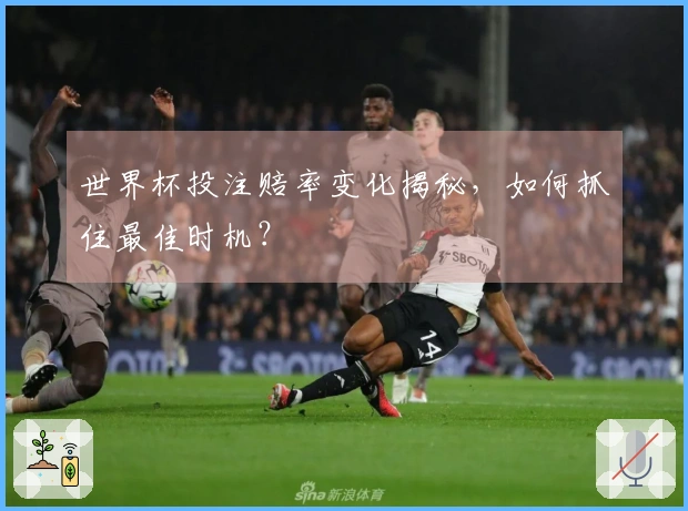 世界杯投注赔率变化揭秘，如何抓住最佳时机？