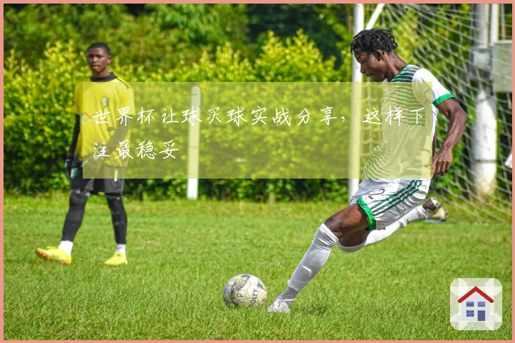 世界杯让球买球实战分享，这样下注最稳妥