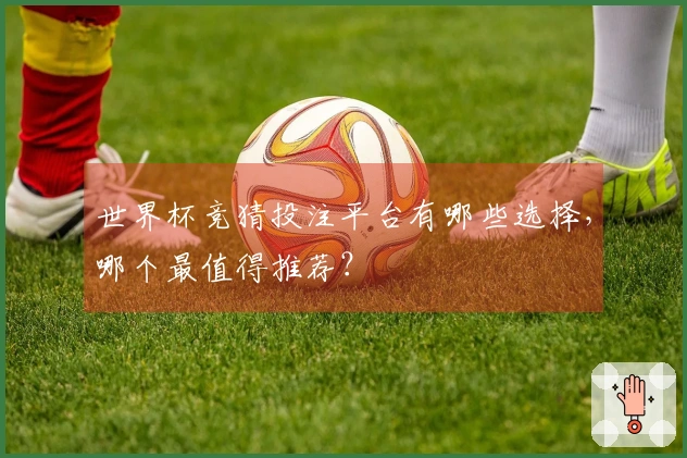 世界杯竞猜投注平台有哪些选择，哪个最值得推荐？