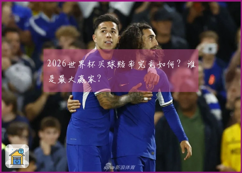 2026世界杯买球赔率究竟如何？谁是最大赢家？
