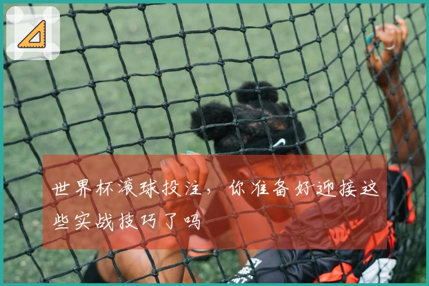 世界杯滚球投注，你准备好迎接这些实战技巧了吗