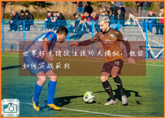 世界杯竞猜投注技巧大揭秘，教你如何实战获利
