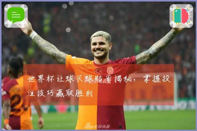 世界杯让球买球赔率揭秘，掌握投注技巧赢取胜利