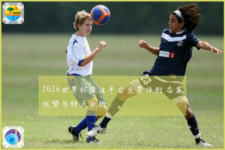 2026世界杯投注平台全景评测 各家优势与特点分析