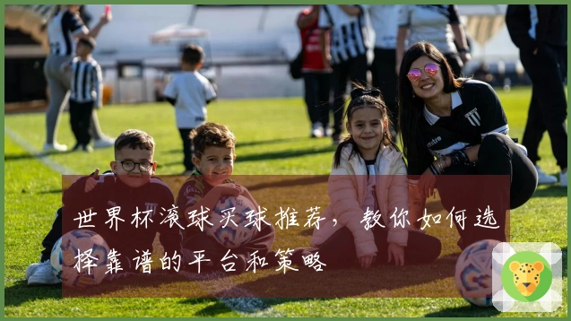 世界杯滚球买球推荐,教你如何选择靠谱的平台和策略