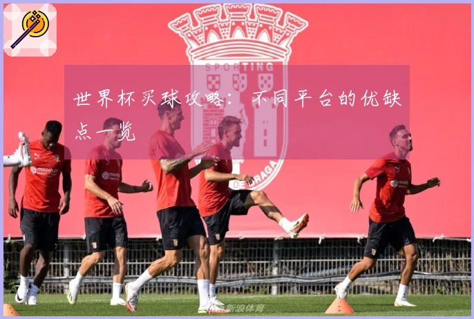 世界杯买球攻略：不同平台的优缺点一览