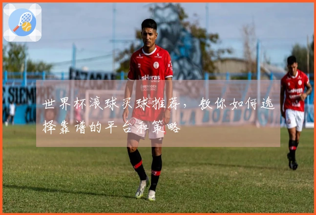 世界杯滚球买球推荐，教你如何选择靠谱的平台和策略