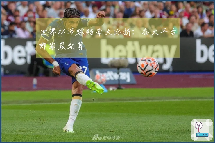 世界杯滚球赔率大比拼：各大平台哪家最划算