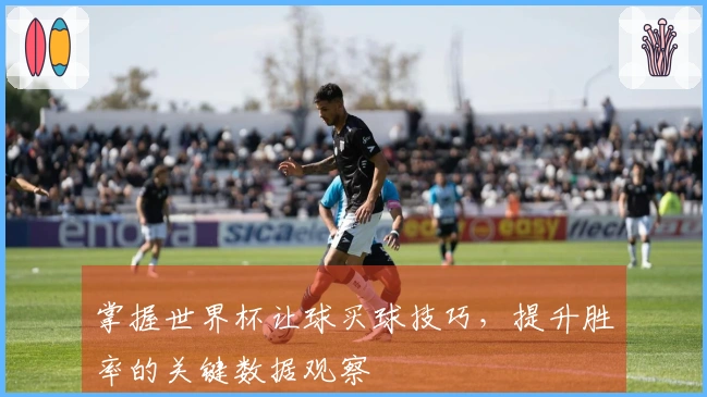 掌握世界杯让球买球技巧，提升胜率的关键数据观察
