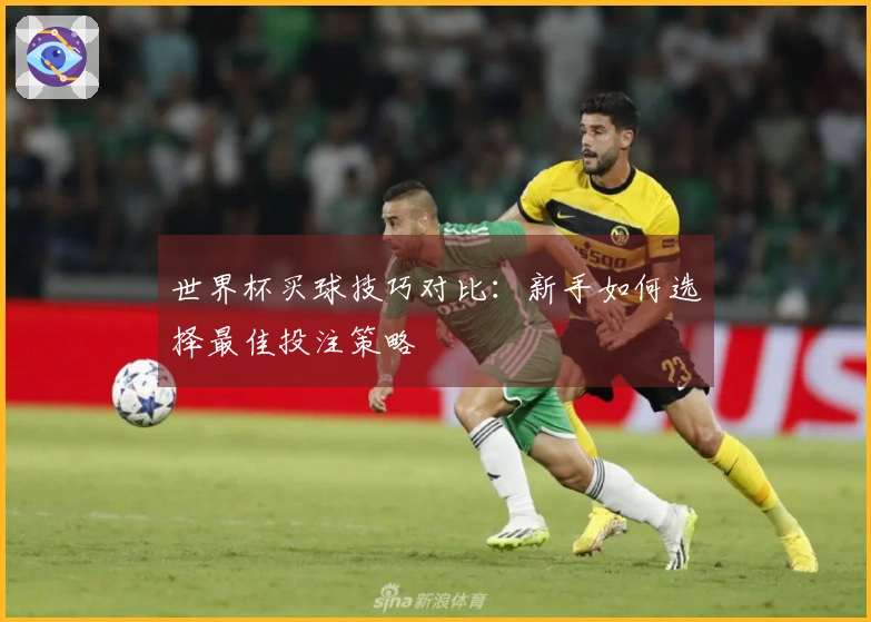 世界杯买球技巧对比：新手如何选择最佳投注策略