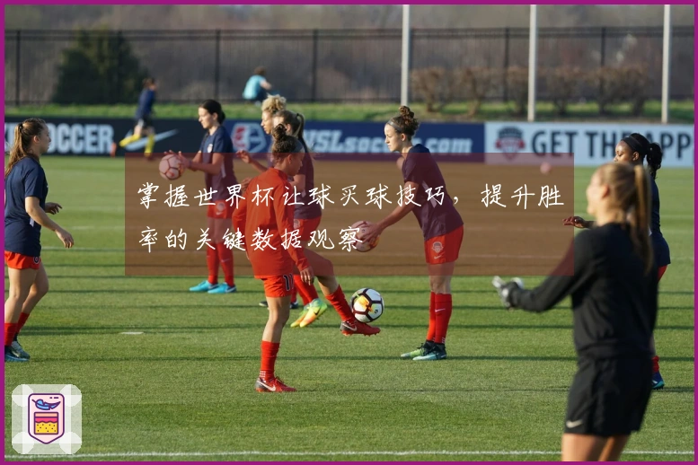掌握世界杯让球买球技巧，提升胜率的关键数据观察