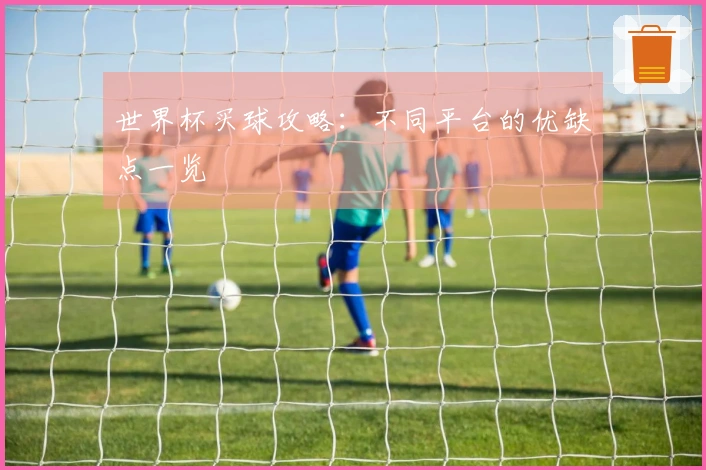 世界杯买球攻略：不同平台的优缺点一览